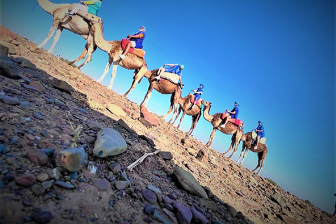 Camel Ride, Anima Garden and atlas Mountains