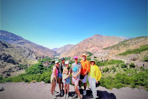 Camel Ride, Anima Garden and atlas Mountains