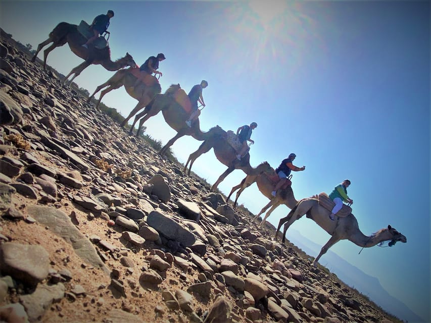 Camel Ride, Anima Garden and atlas Mountains | GetYourGuide