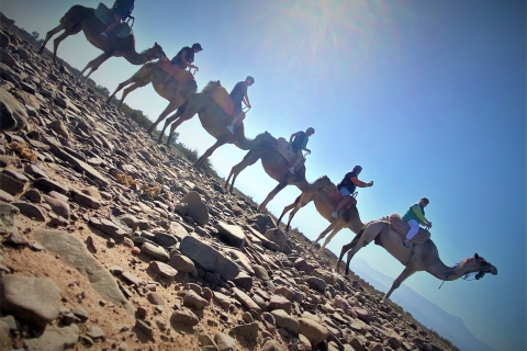 Camel Ride, Anima Garden and atlas Mountains