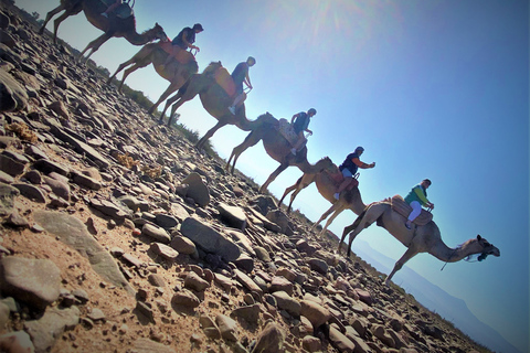 Camel Ride, Anima Garden and atlas Mountains