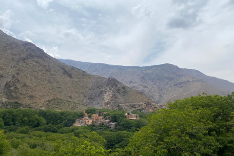 Excursión de medio día al Atlas desde Marrakech