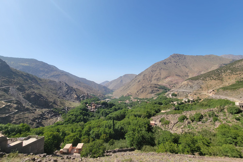 Excursión de medio día al Atlas desde Marrakech