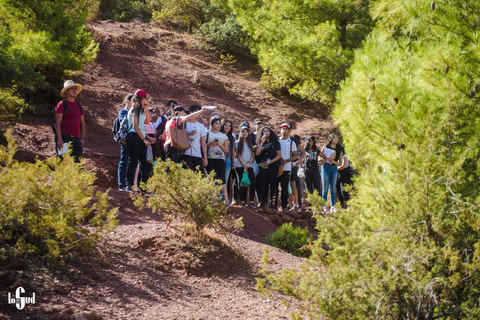 Marrakech: 3 dagars vandring i Höga Atlasbergen och Three Valleys