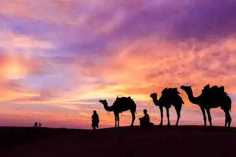 Douz: Overnight Camp with Dinner, Sunset & Sunrise by Camel