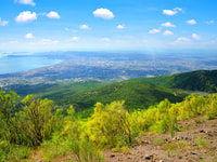 Da Pompei, trasferimento in autobus al Vesuvio con ingresso al Parco - Hizvo