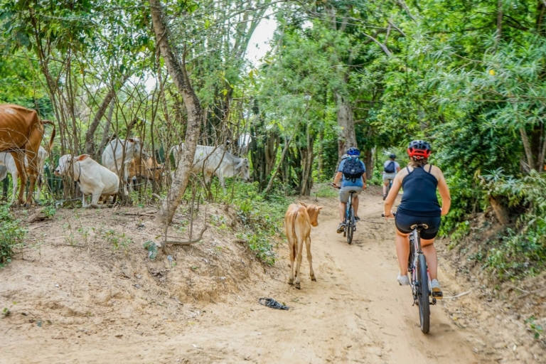Mit dem Fahrrad durch die Landschaft von Siem Reap mit lokalem Führer