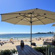 G'day: Australia Zoo and Mooloolaba Beach Day Tour