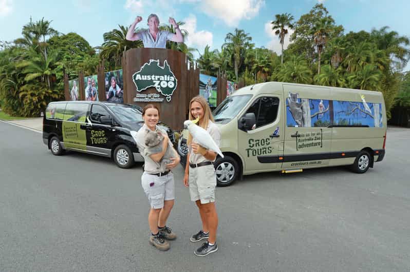 Brisbane Zoos et aquariums le MEILLEUR de 2024 Annulation GRATUITE GetYourGuide