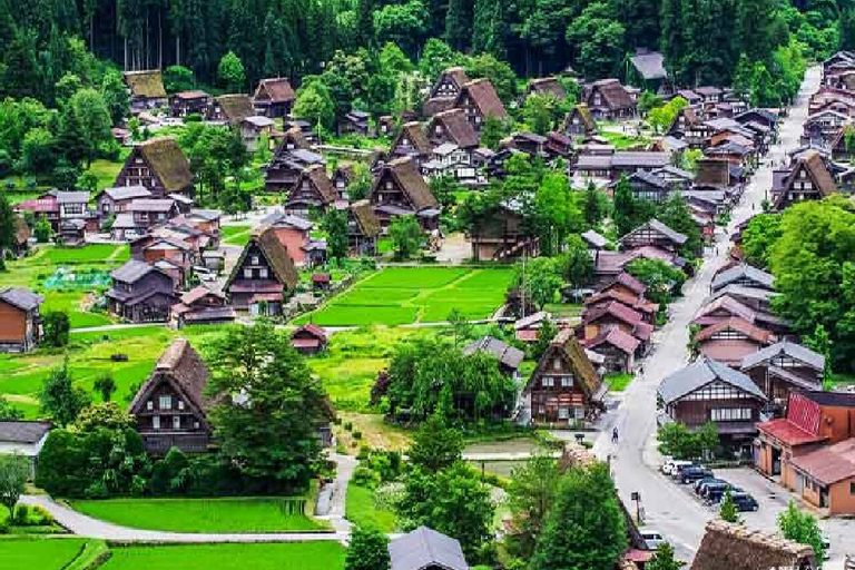 Nagoya : Excursion d'une journée au village de Shirakawa-go et à l'UNESCO de TakayamaAu départ de Nagoya : Excursion d'une journée à Shirakawa-go et Takayama