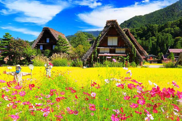 Nagoya: Shirakawa-go Village and Takayama UNESCO 1-Day Trip From Nagoya: Shirakawa-go and Takayama Full-Day Trip