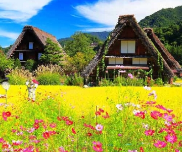 Nagoya: Shirakawa-go Village and Takayama UNESCO 1-Day Trip