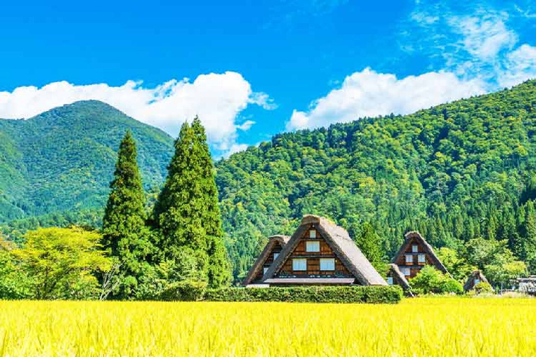 Nagoya: Shirakawa-go Village and Takayama UNESCO 1-Day Trip From Nagoya: Shirakawa-go and Takayama Full-Day Trip