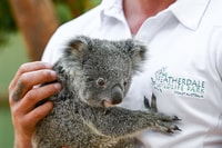 Private Blue Mountain Tour met natuur- en riviercruise - Housity