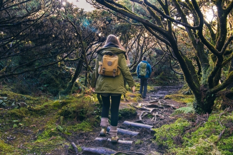 Ilha Terceira : Percursos Pedestres - Nível Experiente