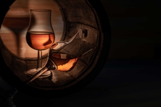 Cognac : wine safari & royal castle