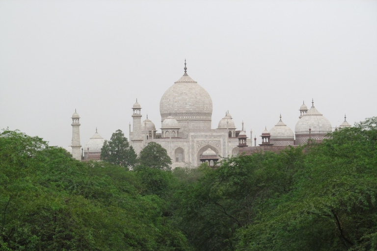 Desde Delhi: Excursión de 7 días al Triángulo de Oro y Safari en RanthamboreCon alojamiento en hotel de 3 estrellas