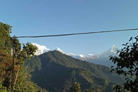 1 N 2 Dagar lätt Dhampus, australiensisk lägervandring från Pokhara