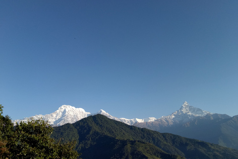 1 N 2 Dagar lätt Dhampus, australiensisk lägervandring från Pokhara