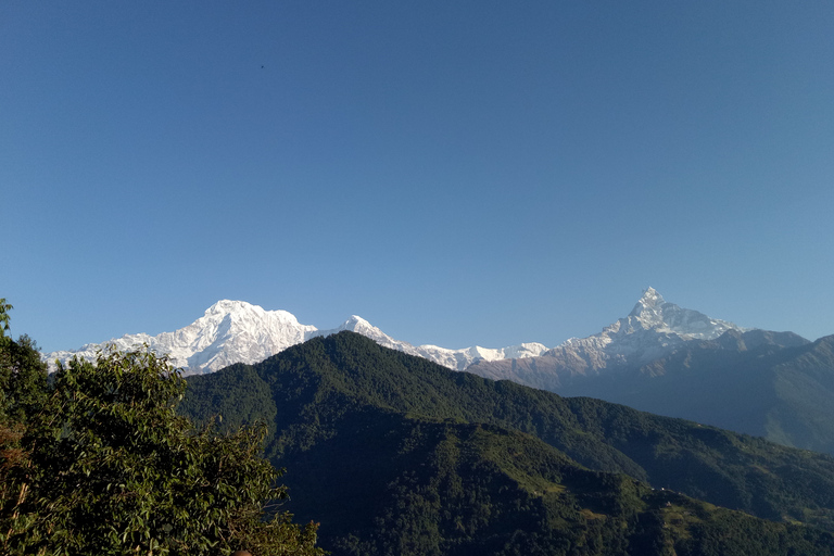 1 N 2 Dagar lätt Dhampus, australiensisk lägervandring från Pokhara