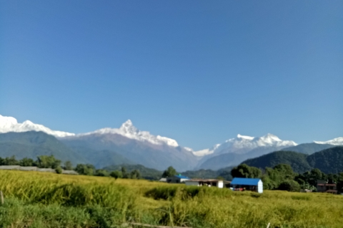 1 N 2 dni łatwy Dhampus, australijska wyprawa obozowa z Pokhary
