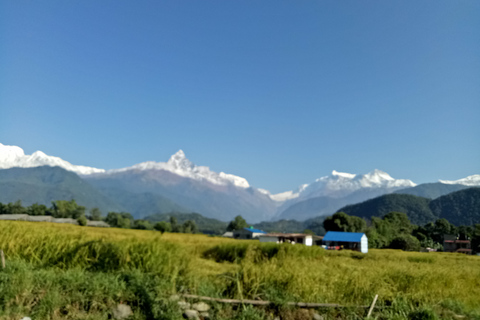 1 N 2 Days easy Dhampus,Australian camp trek from Pokhara