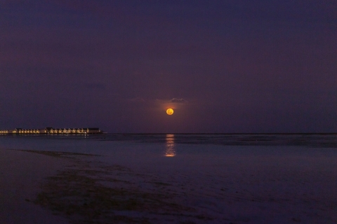 Sotogrande : Pleine lune sur la mer 2 heures