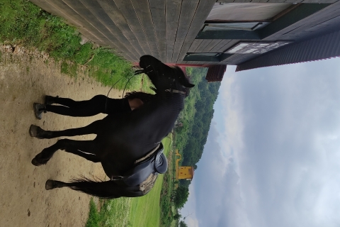Randonnée à cheval dans une ferme