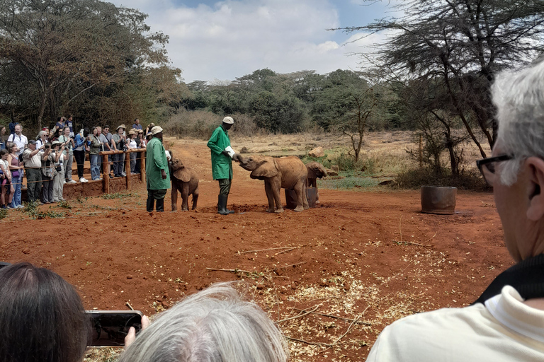 Excursion d'une journée au Centre des girafes et au Sanctuaire des éléphants de NairobiExcursion d'une journée au centre des girafes et au sanctuaire des éléphants.