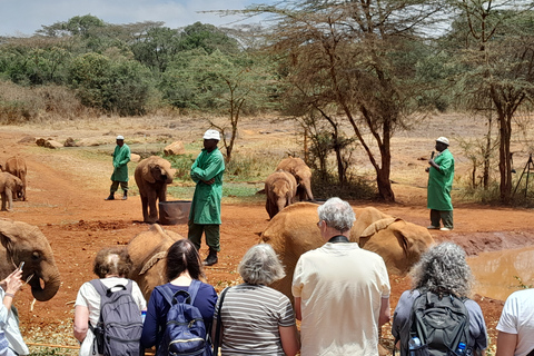 Excursion d'une journée au Centre des girafes et au Sanctuaire des éléphants de NairobiExcursion d'une journée au centre des girafes et au sanctuaire des éléphants.