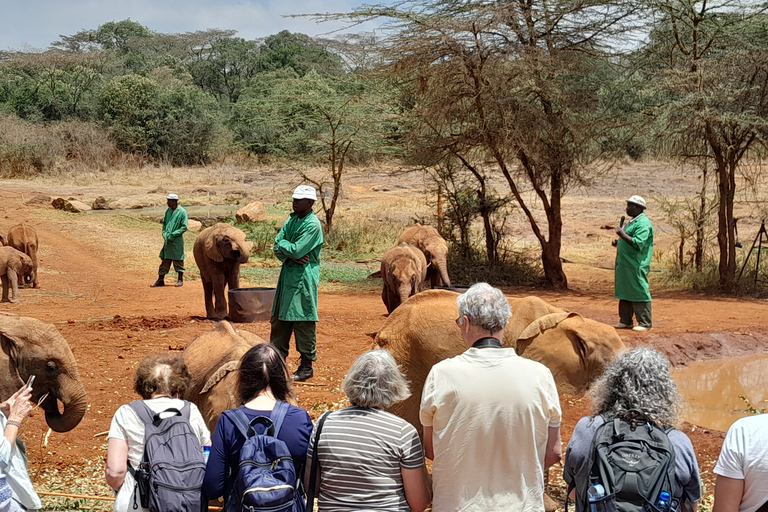 Excursion d'une journée au Centre des girafes et au Sanctuaire des éléphants de NairobiExcursion d'une journée au centre des girafes et au sanctuaire des éléphants.