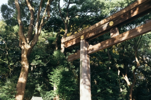 Tokyo Meiji Shrine : Visite à pied avec audioguide