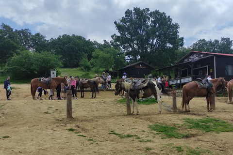 Randonnée à cheval dans une ferme