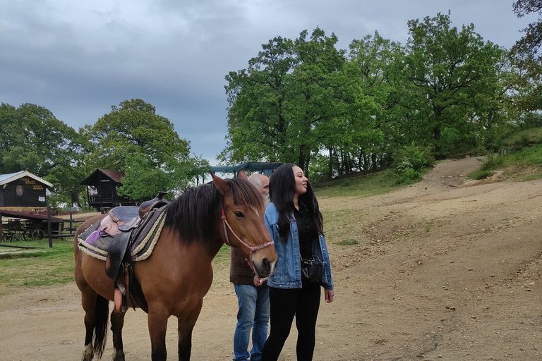 Randonnée à cheval dans une ferme