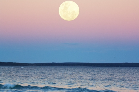 Sotogrande: Pełnia księżyca na morzu 2 godziny