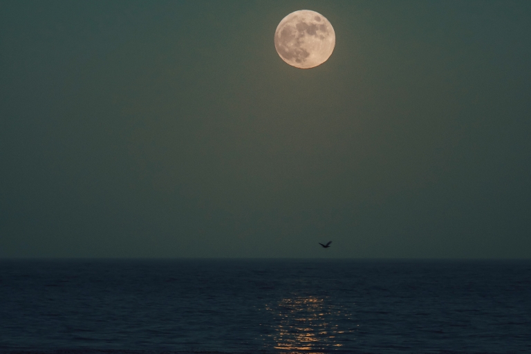 Sotogrande: volle maan op zee 2 uur