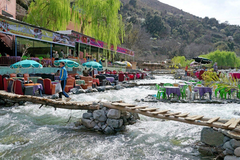 Marrakech to Ourika Valley Day Tour and Anima Garden Visit