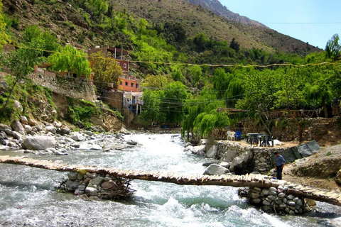 Marrakech to Ourika Valley Day Tour and Anima Garden Visit