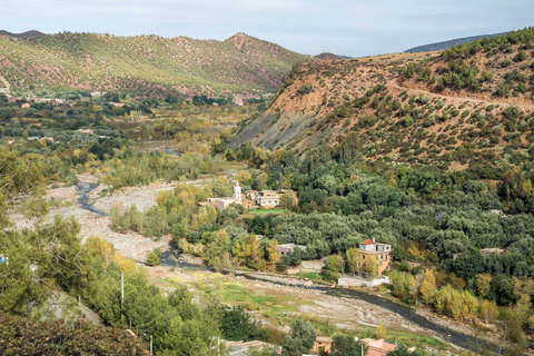 Tagestour von Marrakesch zum Ourika-Tal und Besuch des Anima-Gartens