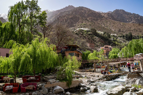 Marrakech to Ourika Valley Day Tour and Anima Garden Visit