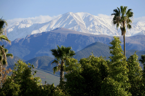 Tagestour von Marrakesch zum Ourika-Tal und Besuch des Anima-Gartens