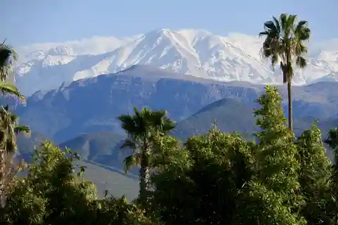 Dagstur fra Marrakech til Ourika-dalen og besøg i Anima-haven