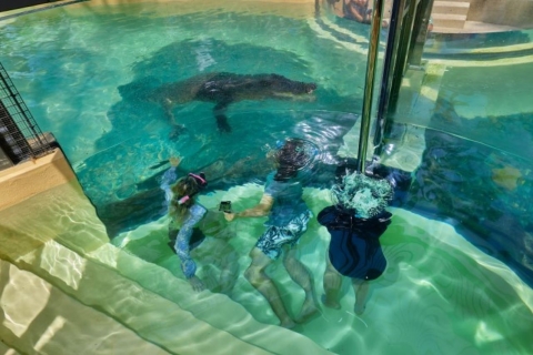 Wildlife, Mossman Gorge + Schwimmen mit den Salzwasserkrokodilen7A - Wildnis, Mossman-Schlucht + Schwimmen mit den Krokodilen
