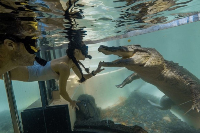 Vie sauvage, gorges de Mossman + nage avec les crocodiles d'eau salée7A - Vie sauvage, gorges de Mossman + baignade avec les crocodiles