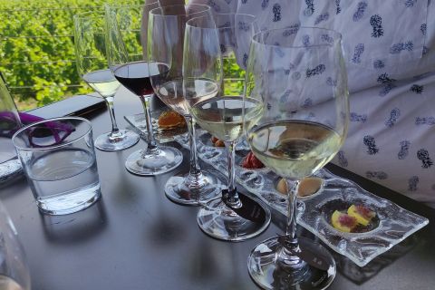 Wine tasting experience from Thessaloniki