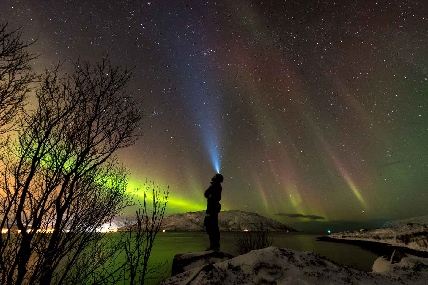 Northern lights Tromsø - small group tour with local guide