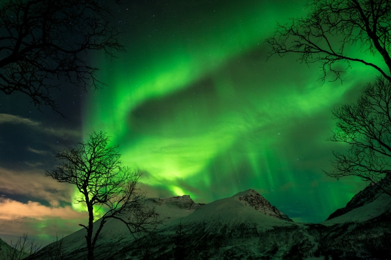 Aurora boreal Tromsø - excursión en grupo reducido con guía local
