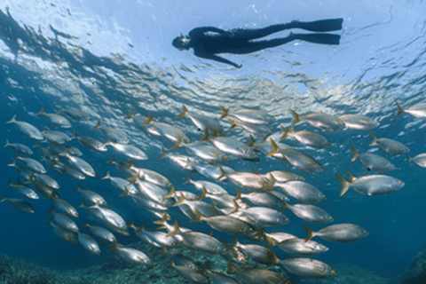 Puerto del Carmen: snorkeltour met instructeur