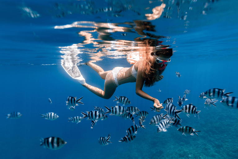 Puerto del Carmen : Excursion en snokel avec un instructeur