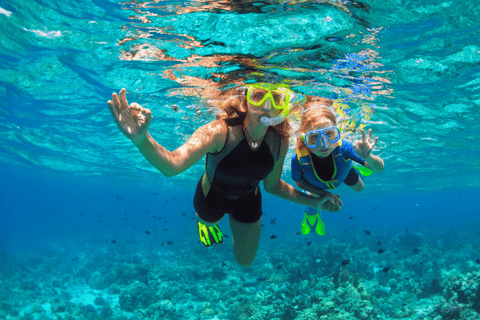 Puerto del Carmen: Excursión en snokel con instructor